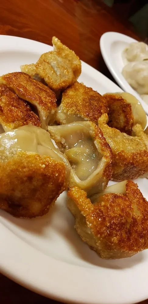 Vegetable Fried Dumplings
